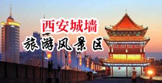 黄色网站少妇喷水中国陕西-西安城墙旅游风景区